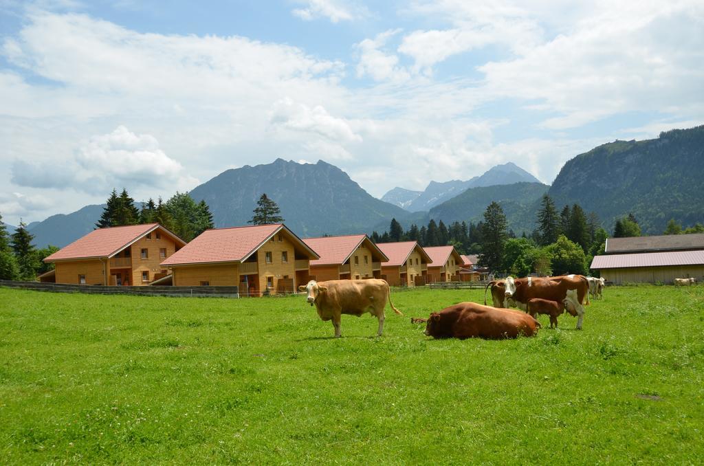 Feriendorf Am Hahnenkamm Ройте Екстериор снимка